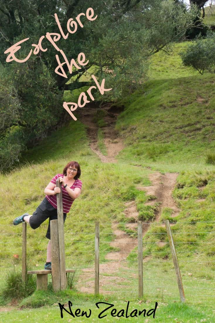 Cornwall Park in Auckland New Zealand. From here we hiked to the summit of the volcanic crater known as One Tree Hill