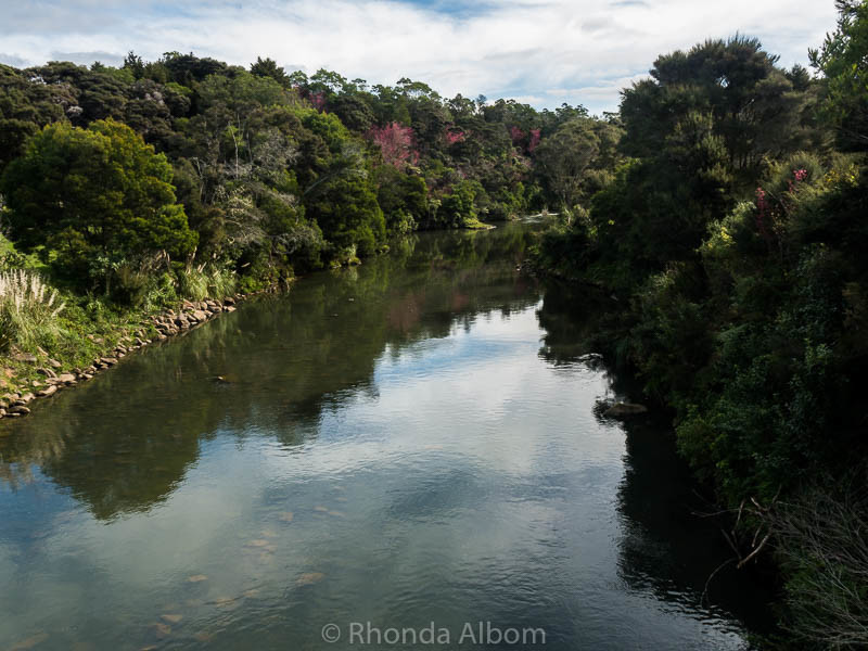 View of the Kerikeri River from the footbridge leading to the Stone Store in New Zealand