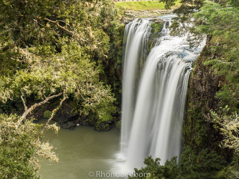 Whangarei Falls during the Winter in Whangarei New Zealand