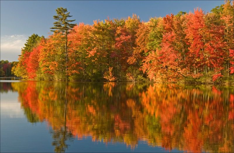 Leaf-Peeping Maine and Other Regional New England Fall Foliage 4 Peak fall colors in Maine foliage in the USA