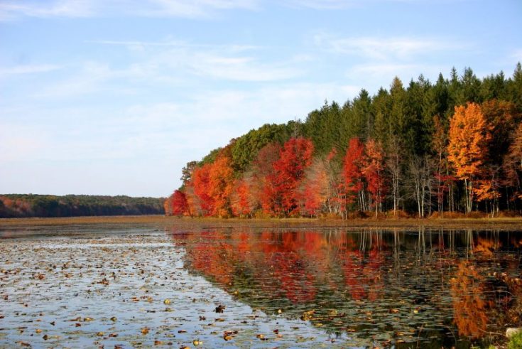 Goodwin State Forest Pine Acres Pond Credit GF Conservation Education Center no exp