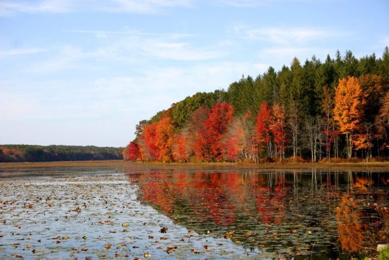 LeafPeeping Maine and Other Regional New England Fall Foliage