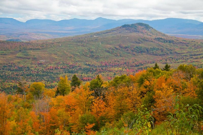 Leaf-Peeping Maine and Other Regional New England Fall Foliage 6 New Hampshire Fall foliage colors displayed in Jericho Mountain State Park.