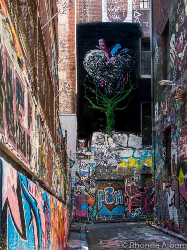 Explore Melbourne Street Art And Graffiti Laneways Albom Adventures