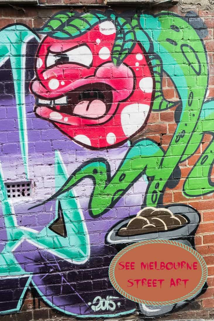 A collection of Melbourne Street art, an Australian city internationally known for its creative street art. Read the article to see more interesting images.