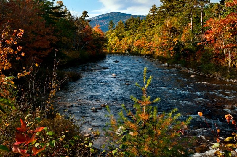 Leaf-Peeping Maine and Other Regional New England Fall Foliage 7 Beautiful autumn colors seen along this river in North Conway, New Hampshire USA
