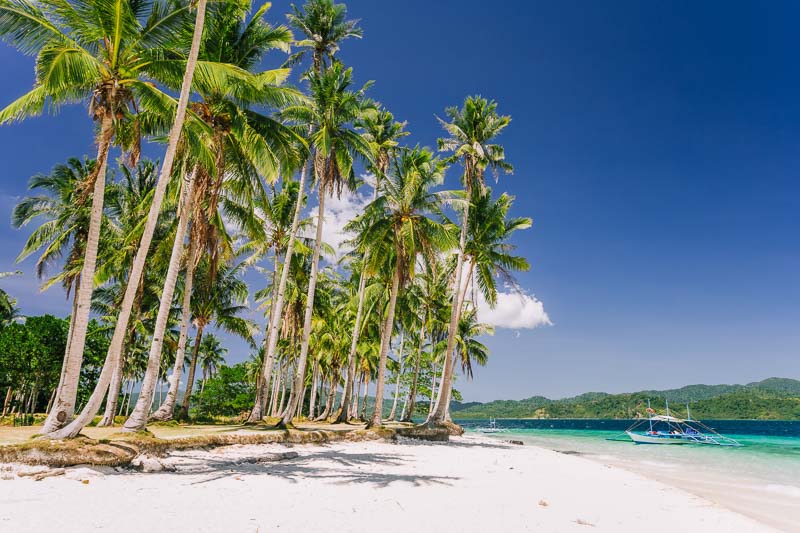 Your Guide to the 5 Best Beaches in Palawan Philippines 2 Palm trees and lonely island hopping tour boat on Ipil beach in Palawan Philippines, Pinagbuyutan