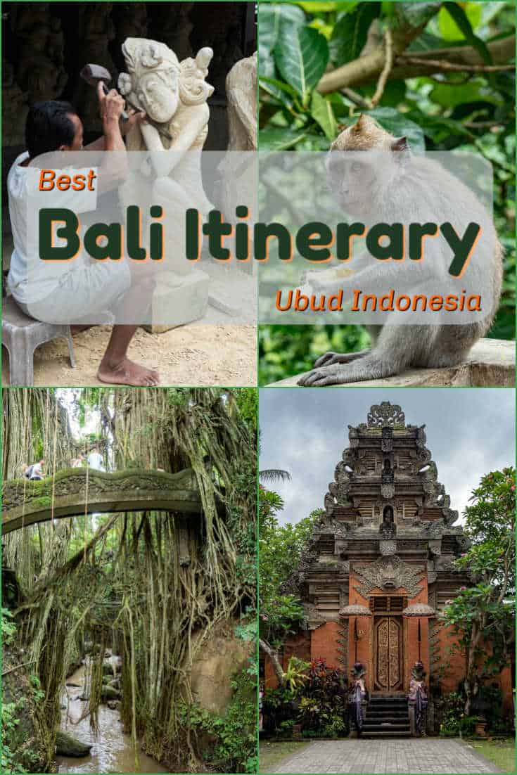 The Sacred Monkey Forest, the rice terrace, Hindu temples, and talented craftsmen are amongst the many sites we photographed in our day in Ubud on the island of Bali, Indonesia. #travel #Indonesia #Bali #ubud #monkey #riceterrace #hindutemple