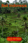 The Tegalalang rice terracein Ubud on the island of Bali, Indonesia.