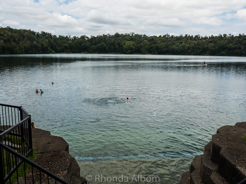 Cairns to Paronella Park - See Waterfalls, Platypus, Ruins, & More 2 Lack Eacham in Crater National Park, was our first stop as we drove from Cairns to Paronella Park