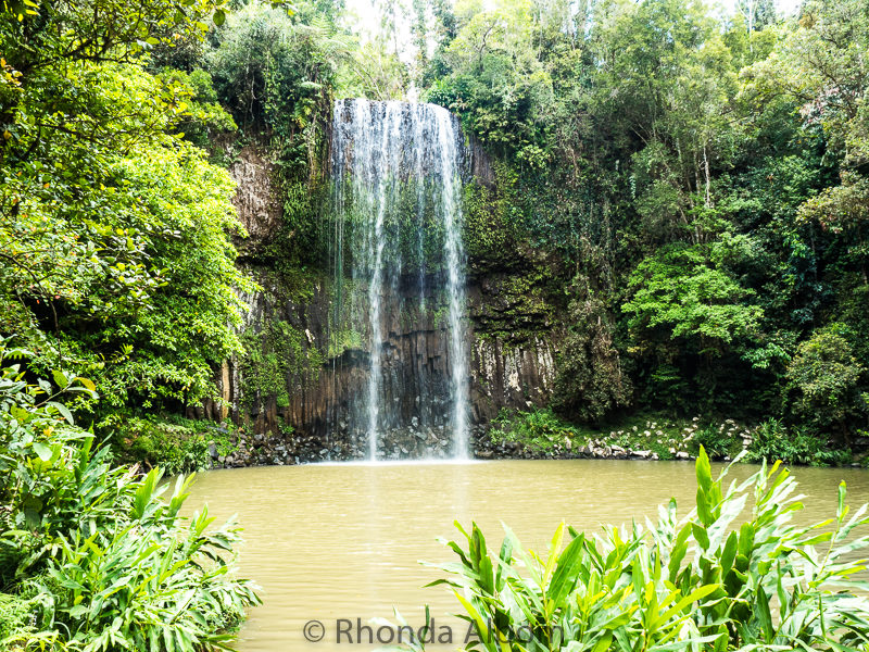 Millaa Millaa Falls outdside of Cairns, Australia
