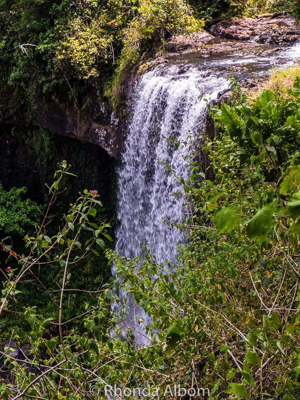 Zellie Falls oustside of Cairnes, Australia