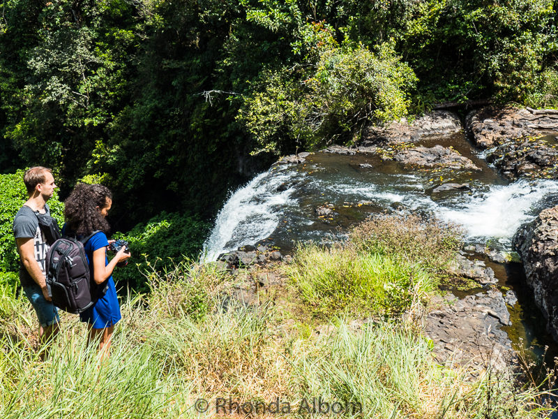 Zellie Falls oustside of Cairnes, Australia