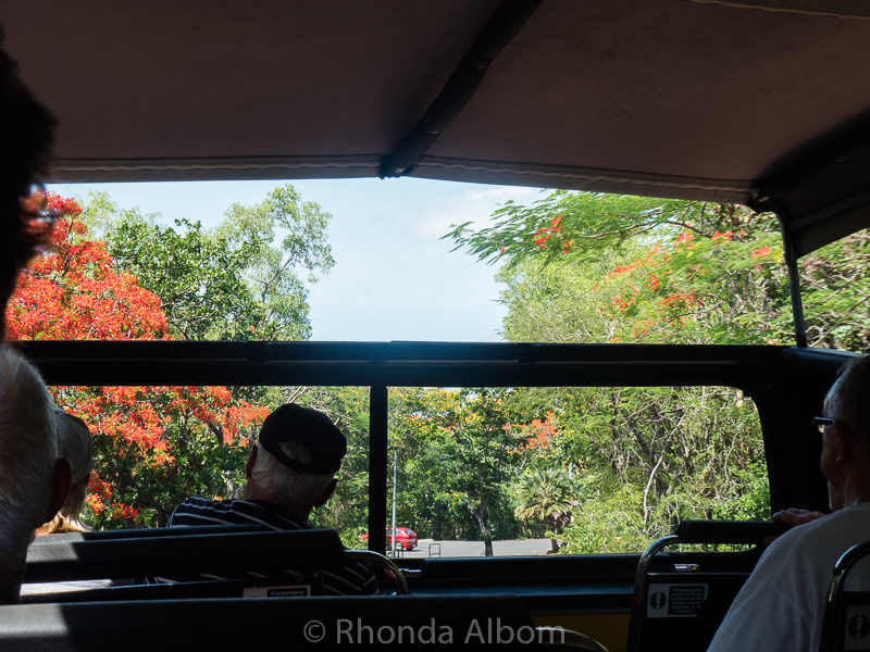 On Darwin Explorer Bus on way to East Point Milatary Museum, Darwin Australia