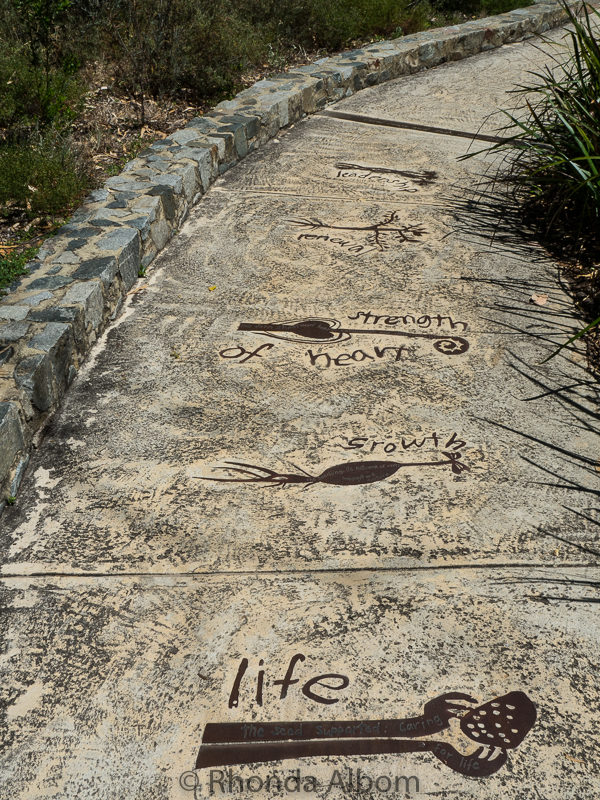 Path in Western Australia Botanic Garden, Perth