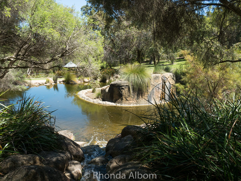 Botanic Gardens in King's Park, Perth Australia