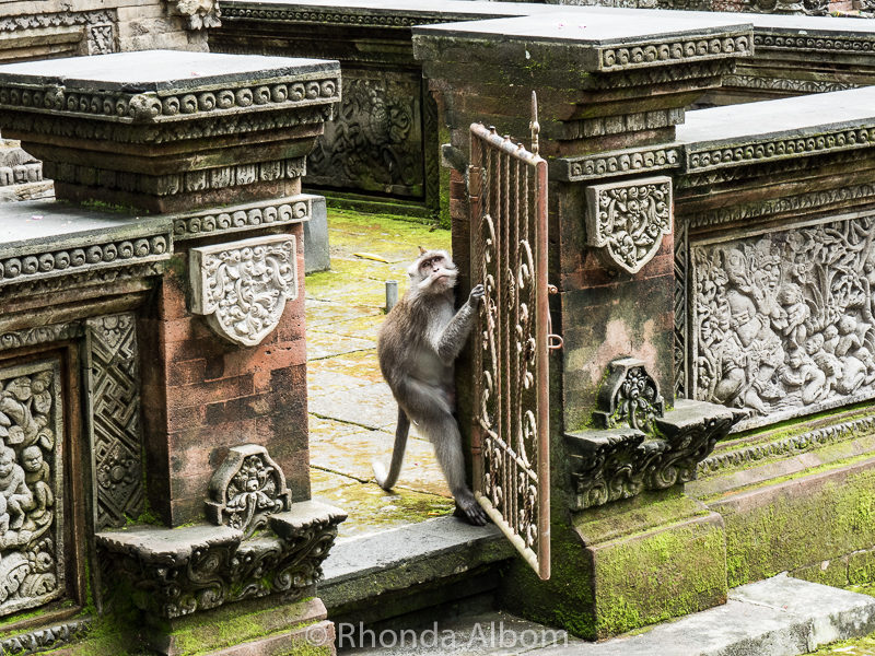 A Hindu temple in the Mandala Suci Wenara Wana Sacred Monkey Forest Sanctuary in Ubud, Bali, Indonesia