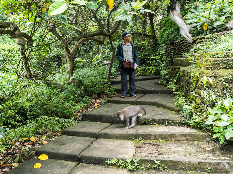 Easy Tips: How to Pack Light for a Cruise - Essentials to Bring 8 Mix and match outfit worn at Mandala Suci Wenara Wana Sacred Monkey Forest Sanctuary in Ubud Bali, Indonesia