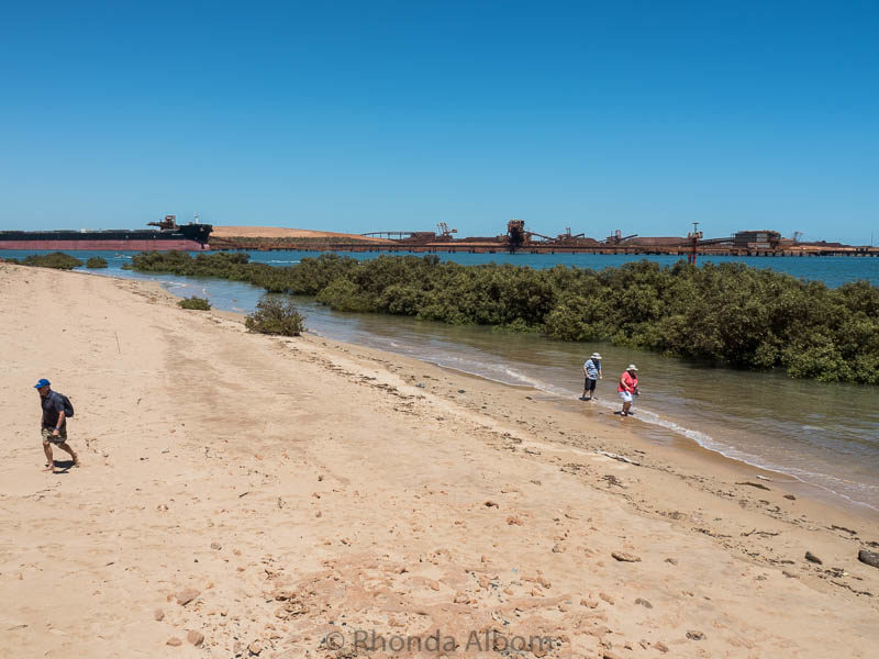 Things to Do in Port Hedland Australia - An interesting Mining Town 19 Mangroves and a beach in Port Hedland, Australia