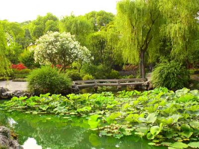 Bridge in Humble Administrator's Garden in Suzhou, China on a Summer day