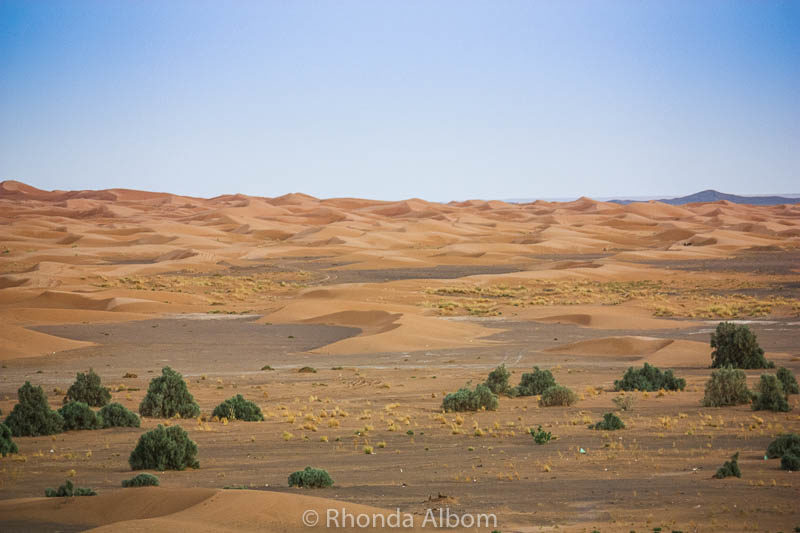Colors of the Sahara Desert: A Travel Photography Exposé 10 Colors of the Sahara desert in Morocco