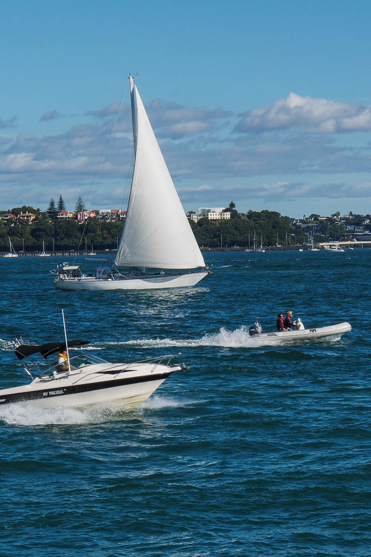 Boats seen from Devonport Wharf in Auckland New Zealand on a summer day.
