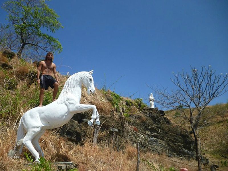 Nicaragua horse