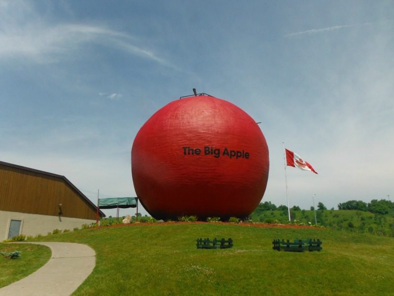 Big Apple in Ontario Canada