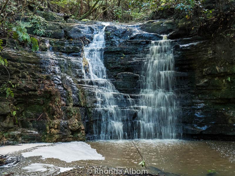 Waterfall Gully after a rainstorm in Shakespear Park, Auckland New Zealand