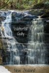 Waterfall Gully after a rainstorm in Shakespear Park, Auckland New Zealand