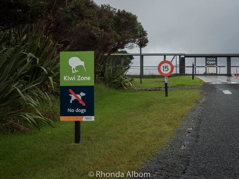 Kiwi Zone sign at Shakespear Park in Auckland New Zealand