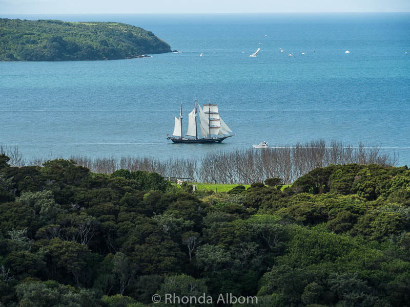 Shakespear Park: Open Bird Sanctuary, Beaches, Hiking and Sunken Ship 24 Spirit of New Zealand sailing around Shakespear Park in Auckland New Zealand
