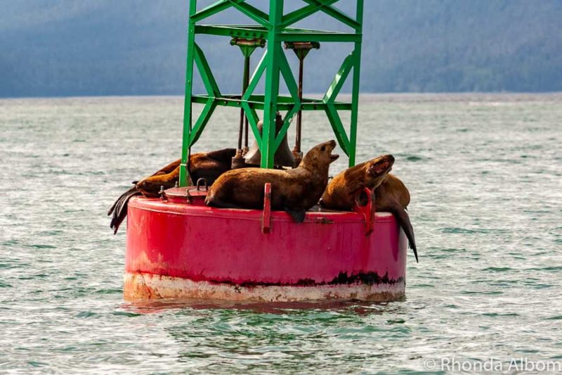 Juneau Alaska IMG 5033