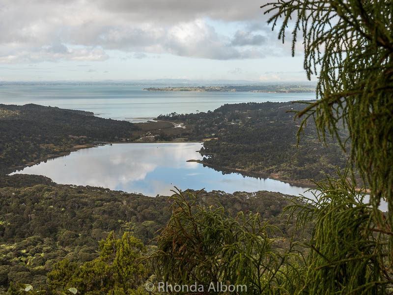 Things to do in West Auckland: Rainforest, Black Sand & Surf Beaches 2 Looking out over the Waitakere Ranges and west coast beaches.