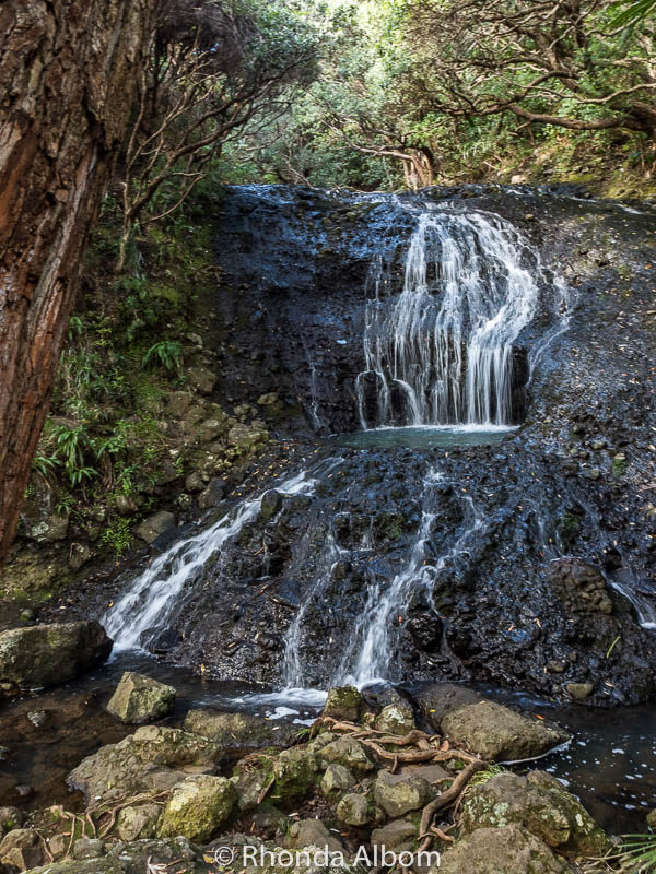 Things to do in West Auckland: Rainforest, Black Sand & Surf Beaches 15 One of the many waterfalls in Auckland