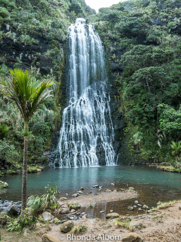 Karekare Falls in the Waitakere Ranges of New Zealand