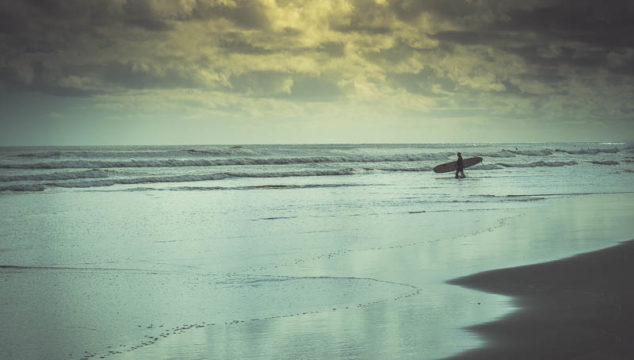 Things to do in West Auckland: Rainforest, Black Sand & Surf Beaches