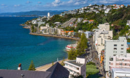 Wellington Activities: 37 Things to Do in the Capital of New Zealand