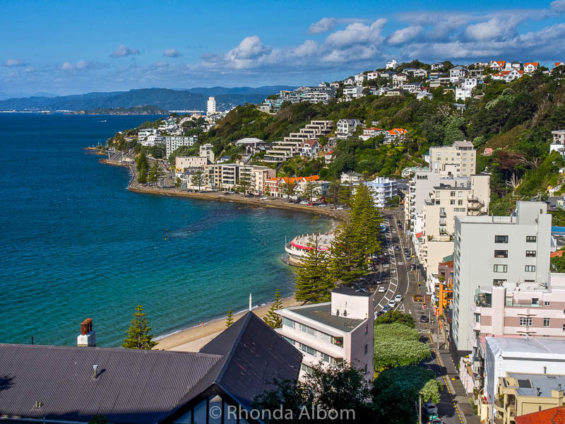 Hiking to the summit of Mt. Victoria in Wellington New Zealand