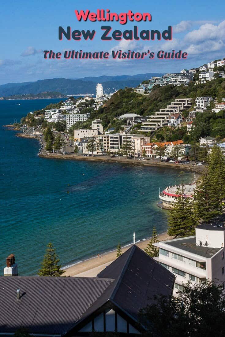 Enjoying the view of Wellington while hiking Mount Victoria is one of many things to do in the capital of New Zealand. #travel #NewZealand #Wellington #NorthIsland #capitalcity #views #oceanview
