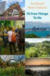 75 Free and nearly free things to do in Auckland New Zealand