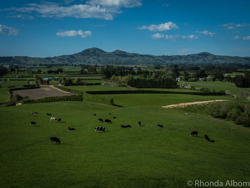 Mosgiel at the foot of Saddle Hill in New Zealand.