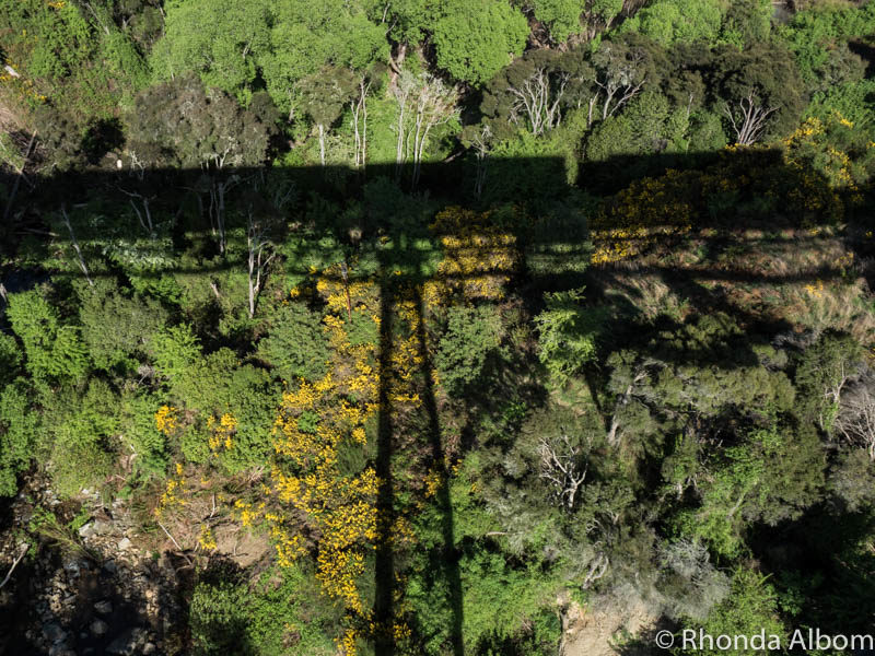 Shadow of Taieri Gorge Trainpassing over on of the viaducts in New Zealand