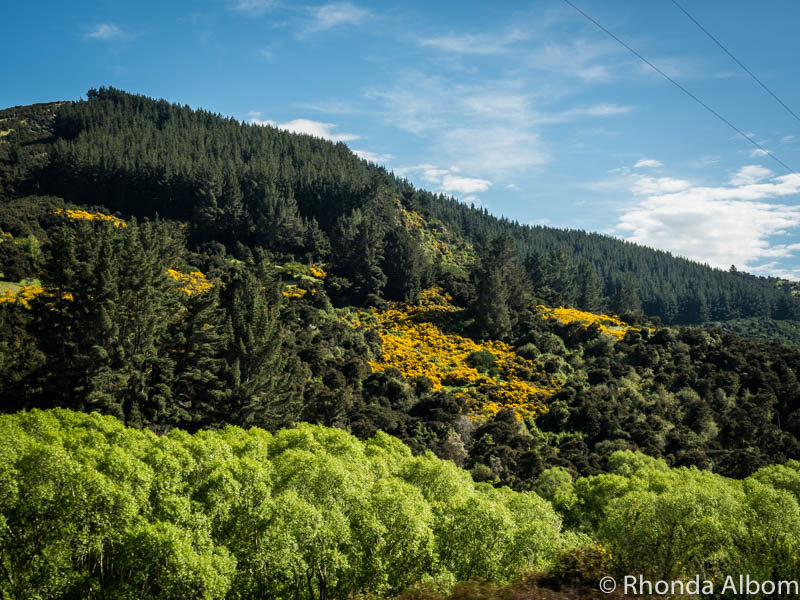 View from the Dunedin Railways Taieri Gorge Train traveling from Dunedin New Zealand