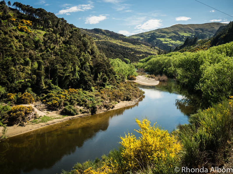 One of the views from the Taieri Gorge Train, a Dunedin railways adventure on the South Island of New Zealand