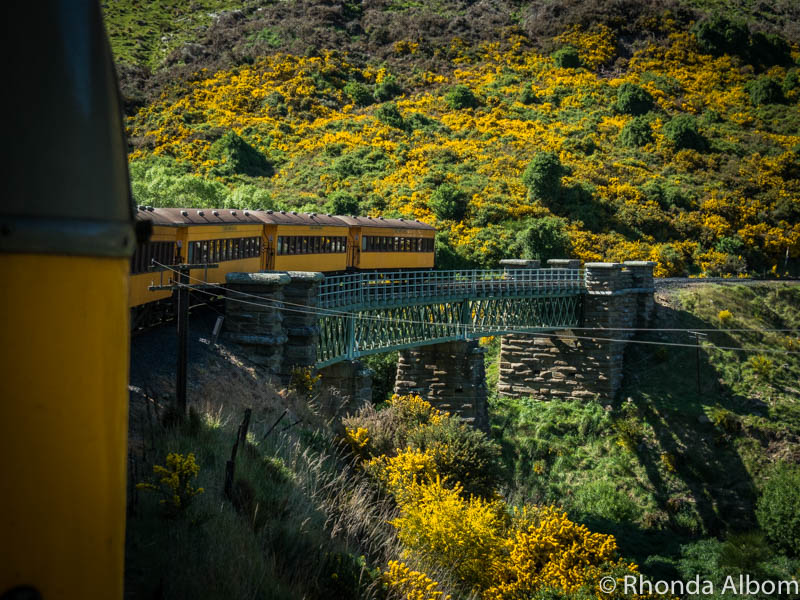 train tour dunedin