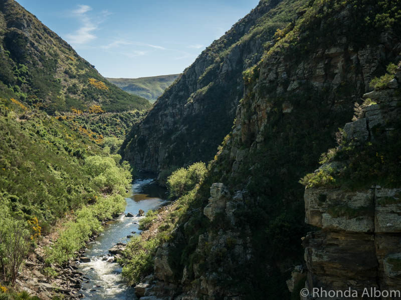 One of the views from the Taieri Gorge Train, a Dunedin railways adventure on the South Island of New Zealand