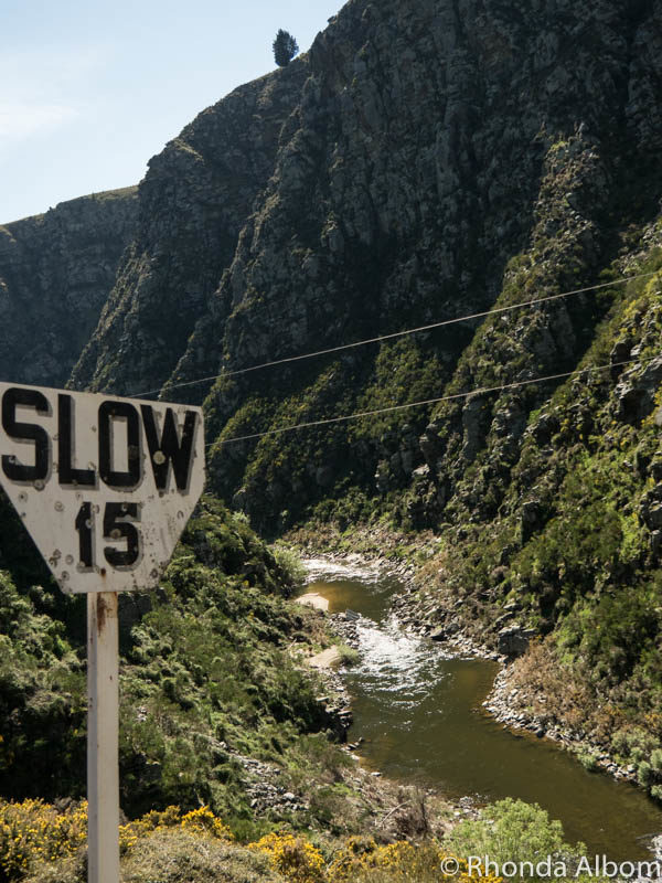 A slow section of the Taieri Gorge Train track in New Zealand