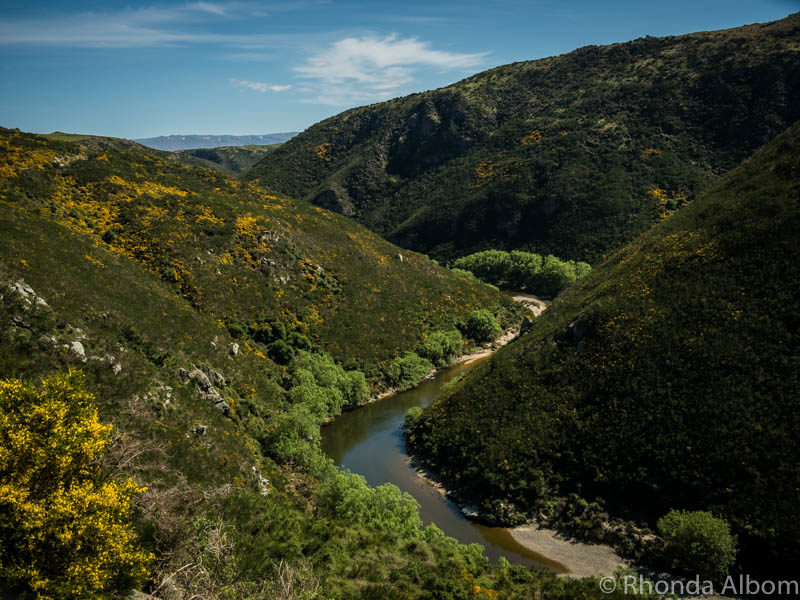 Taieri Gorge Railway in from Dunedin New Zealand