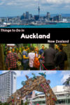 Free and nearly free things to do in Auckland New Zealand